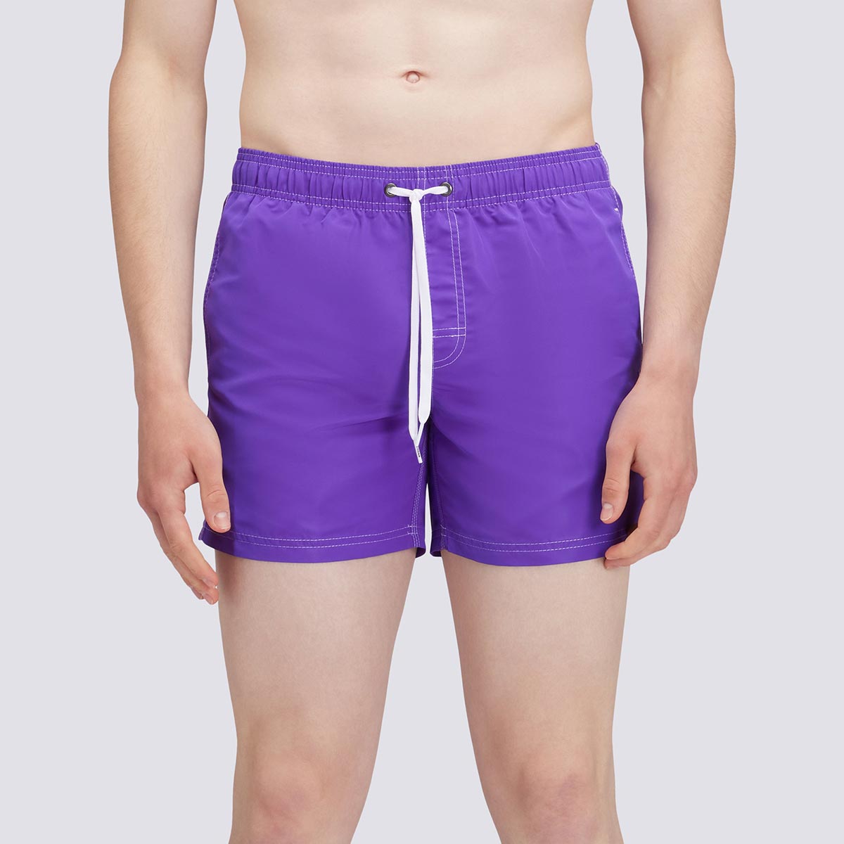 Boxer mare viola con banda