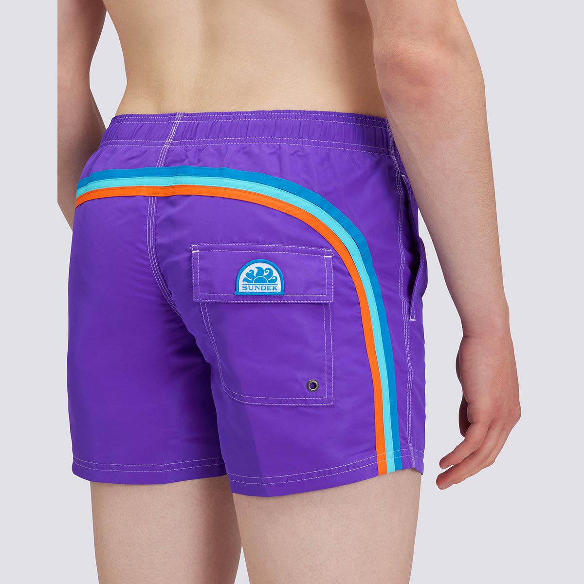 Boxer mare viola con banda