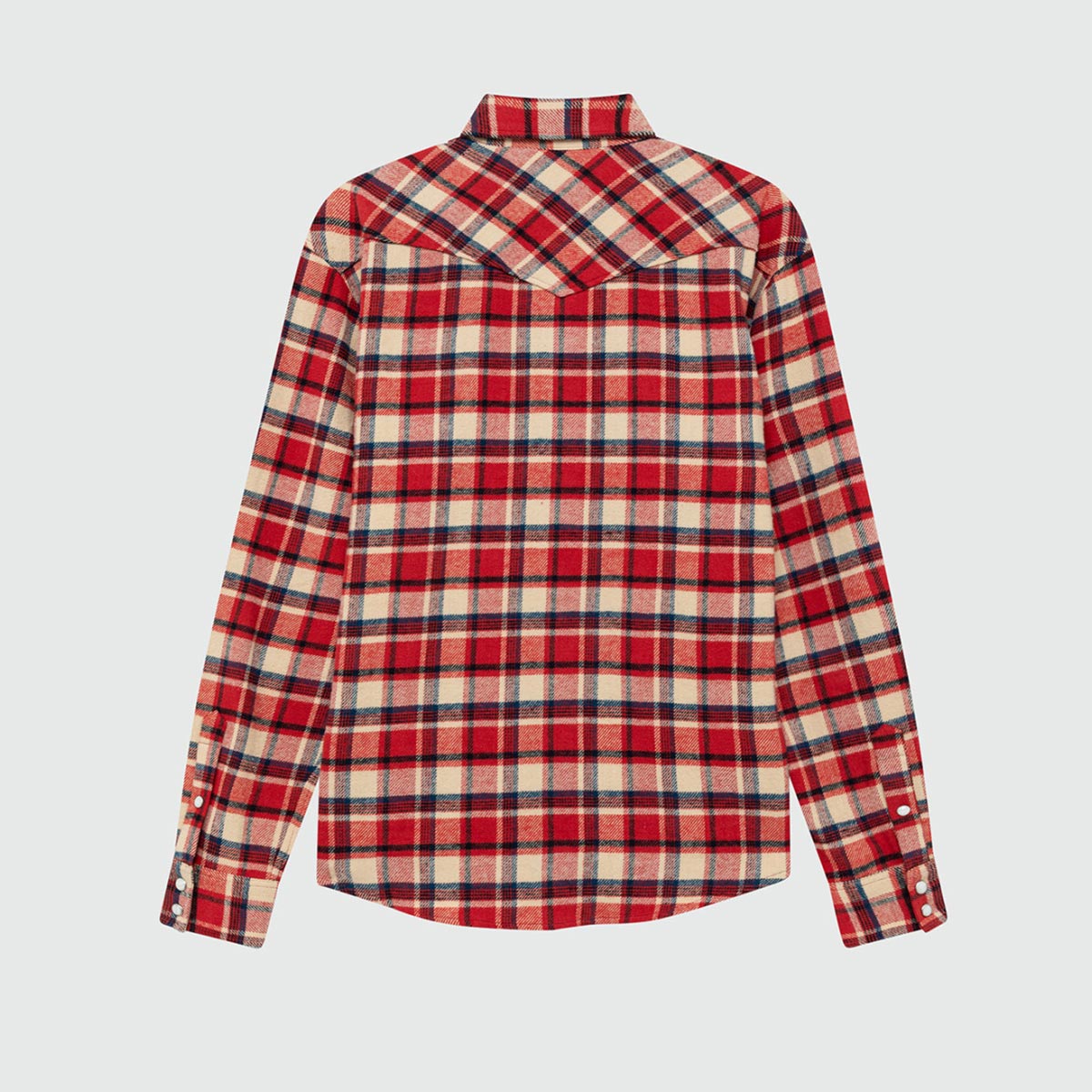 Camicia scozzese a quadri