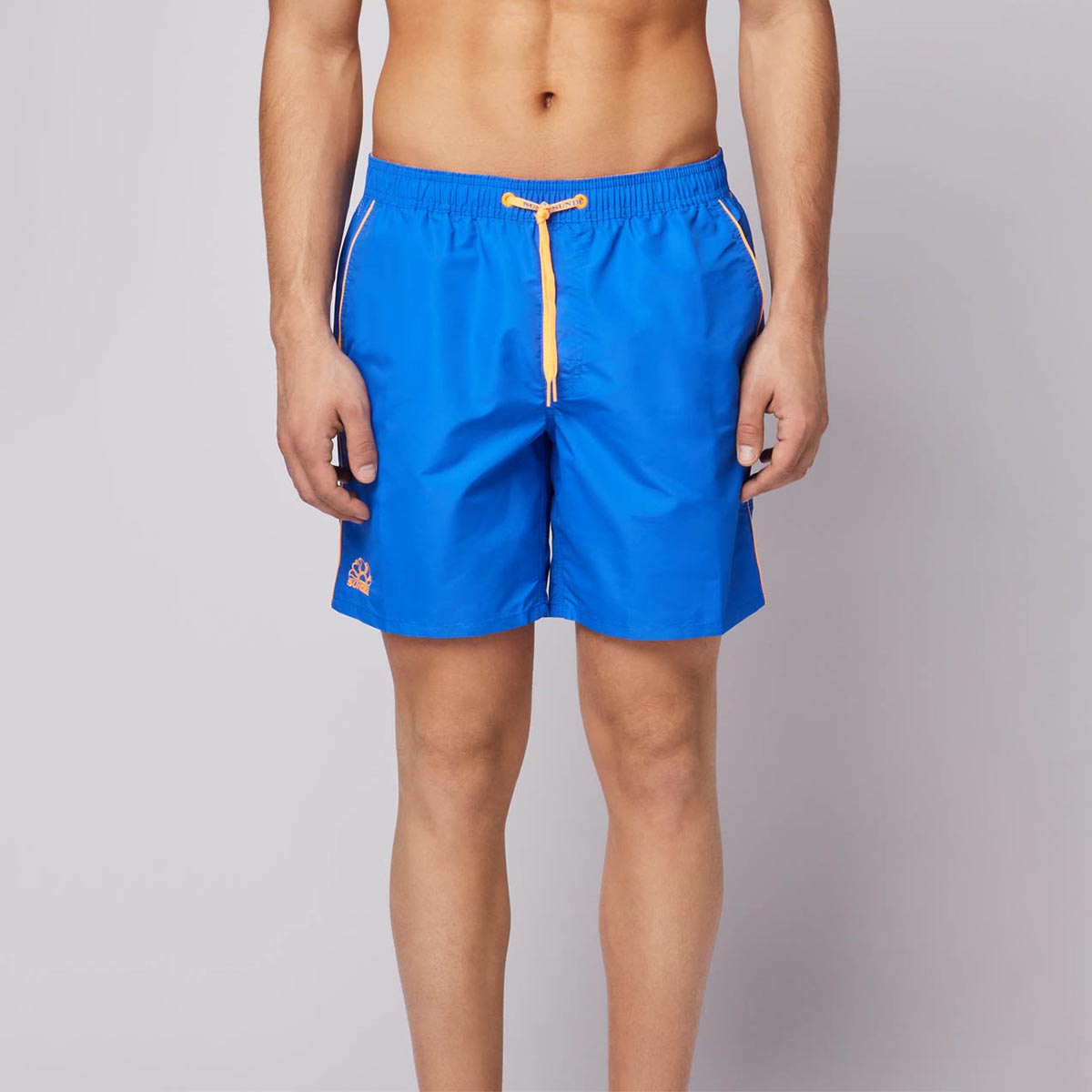 Boxer mare royal
