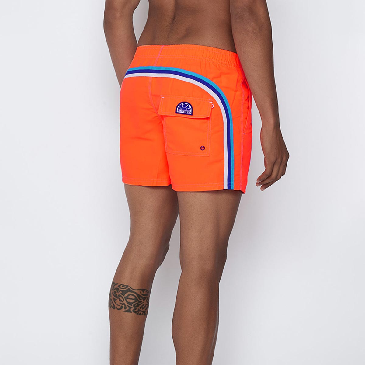 Boxer mare arancio con banda