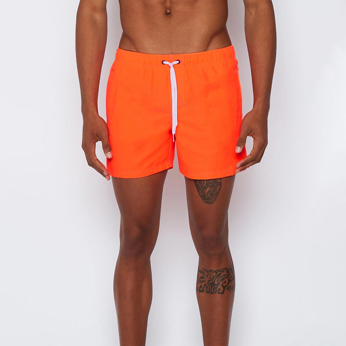 Boxer mare arancio con banda
