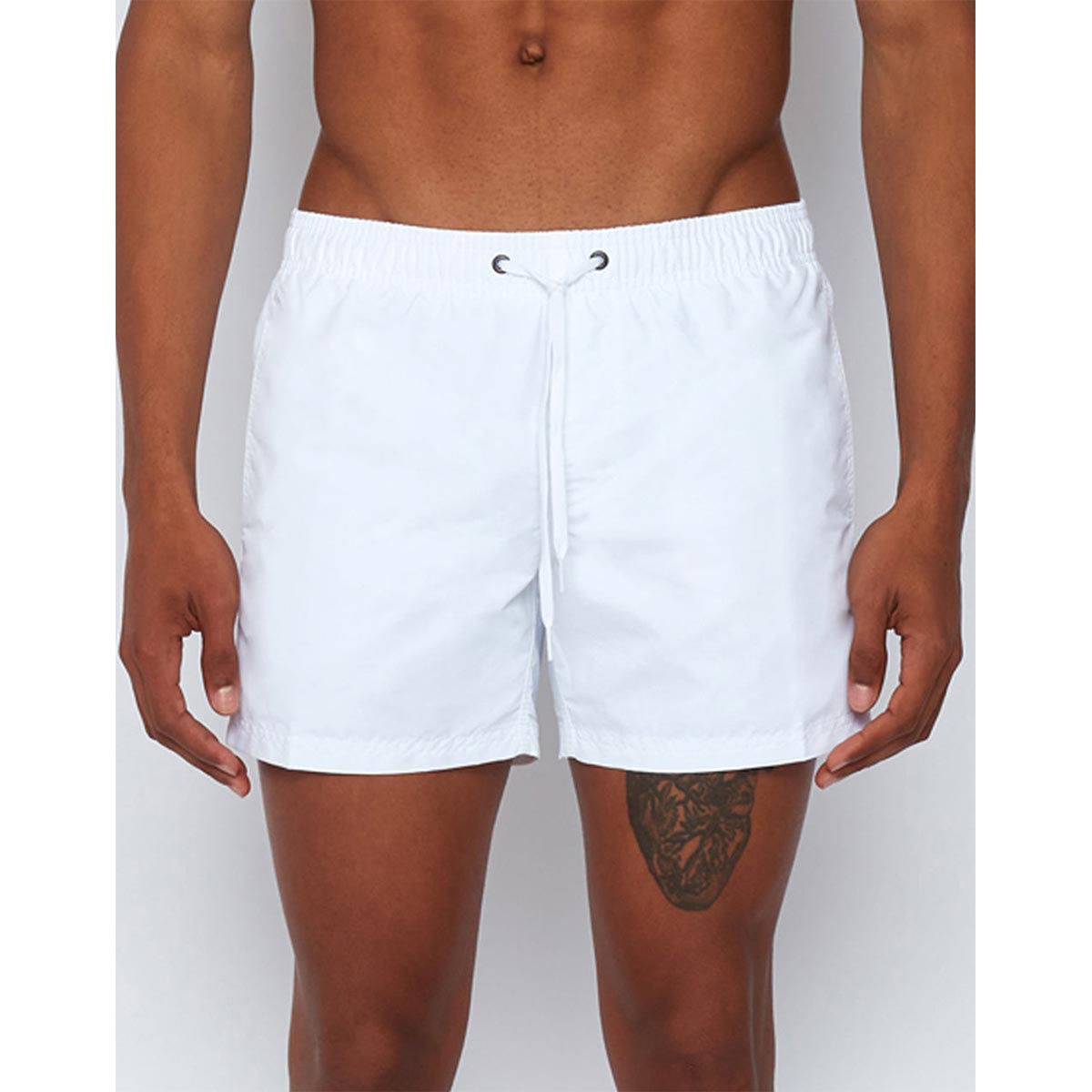 Boxer mare bianco con banda