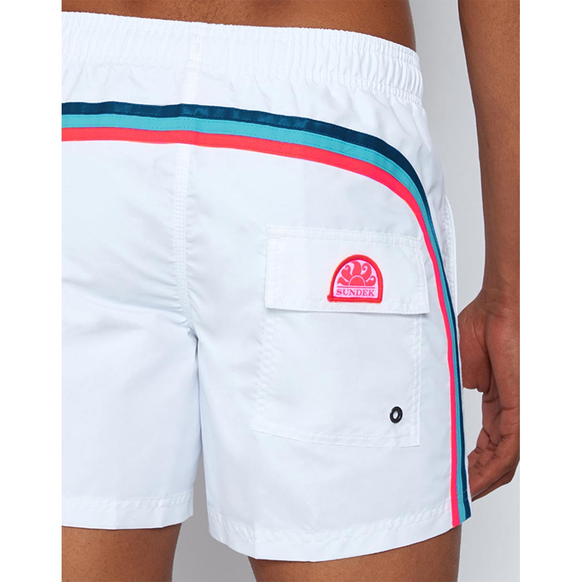 Boxer mare bianco con banda