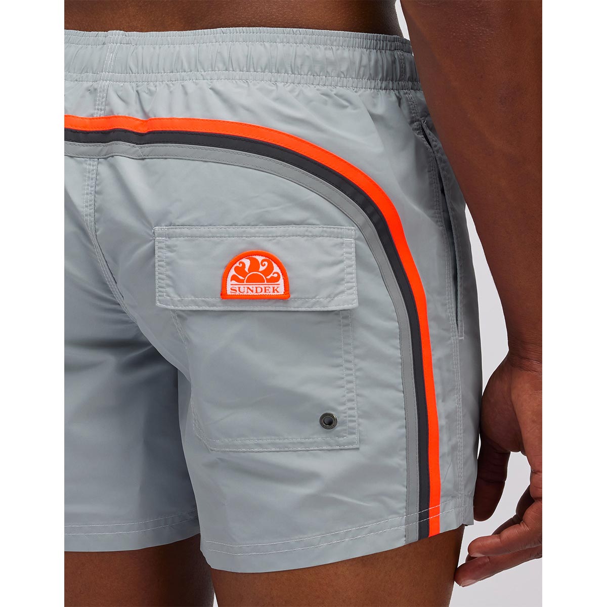 Boxer mare grigio chiaro con banda