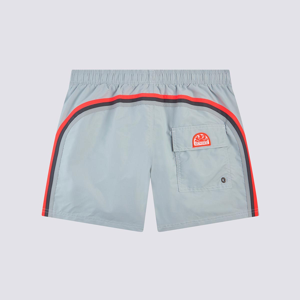 Boxer mare grigio chiaro con banda