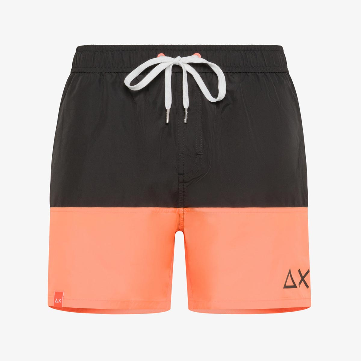 Boxer mare bicolore