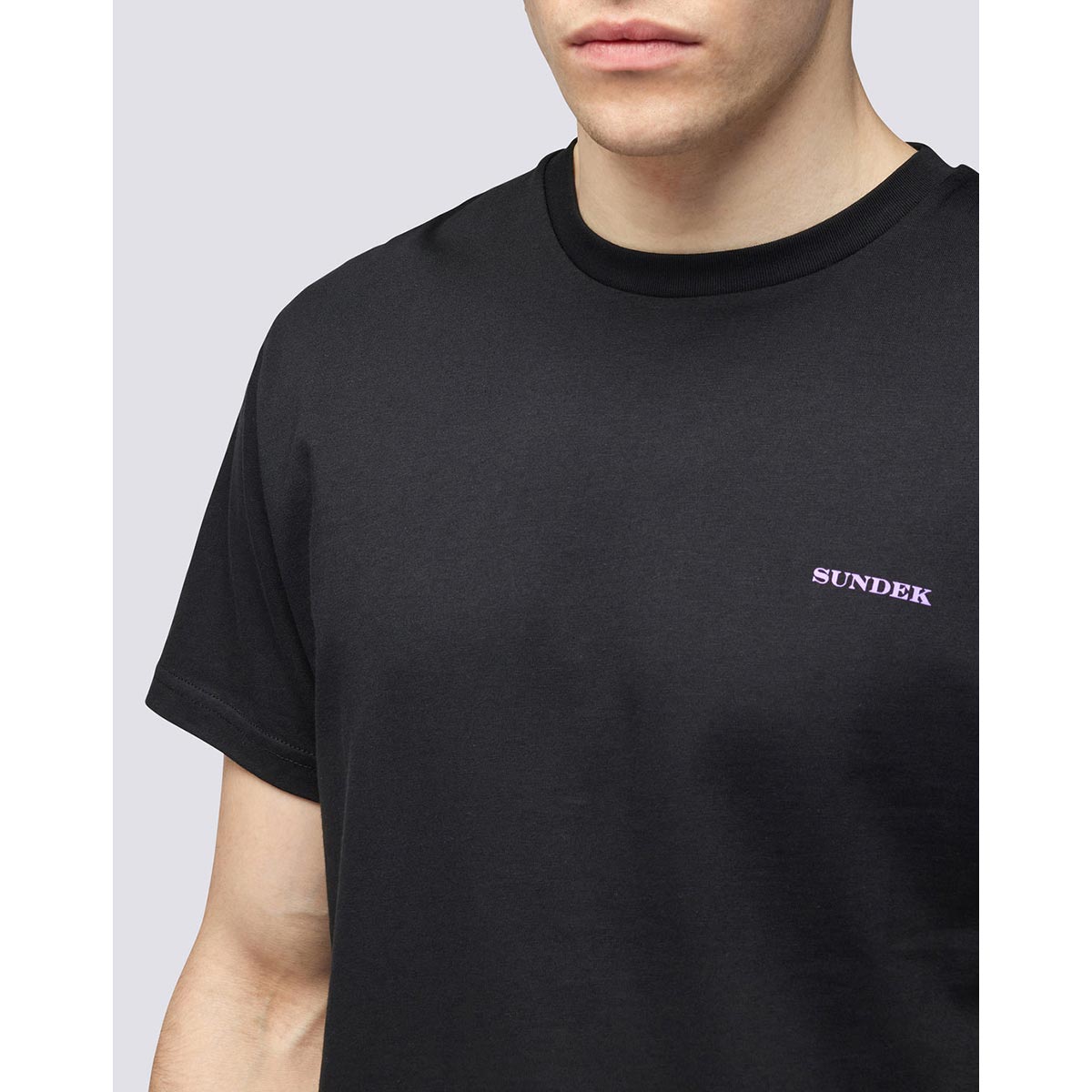 T-shirt girocollo stampa palms trip