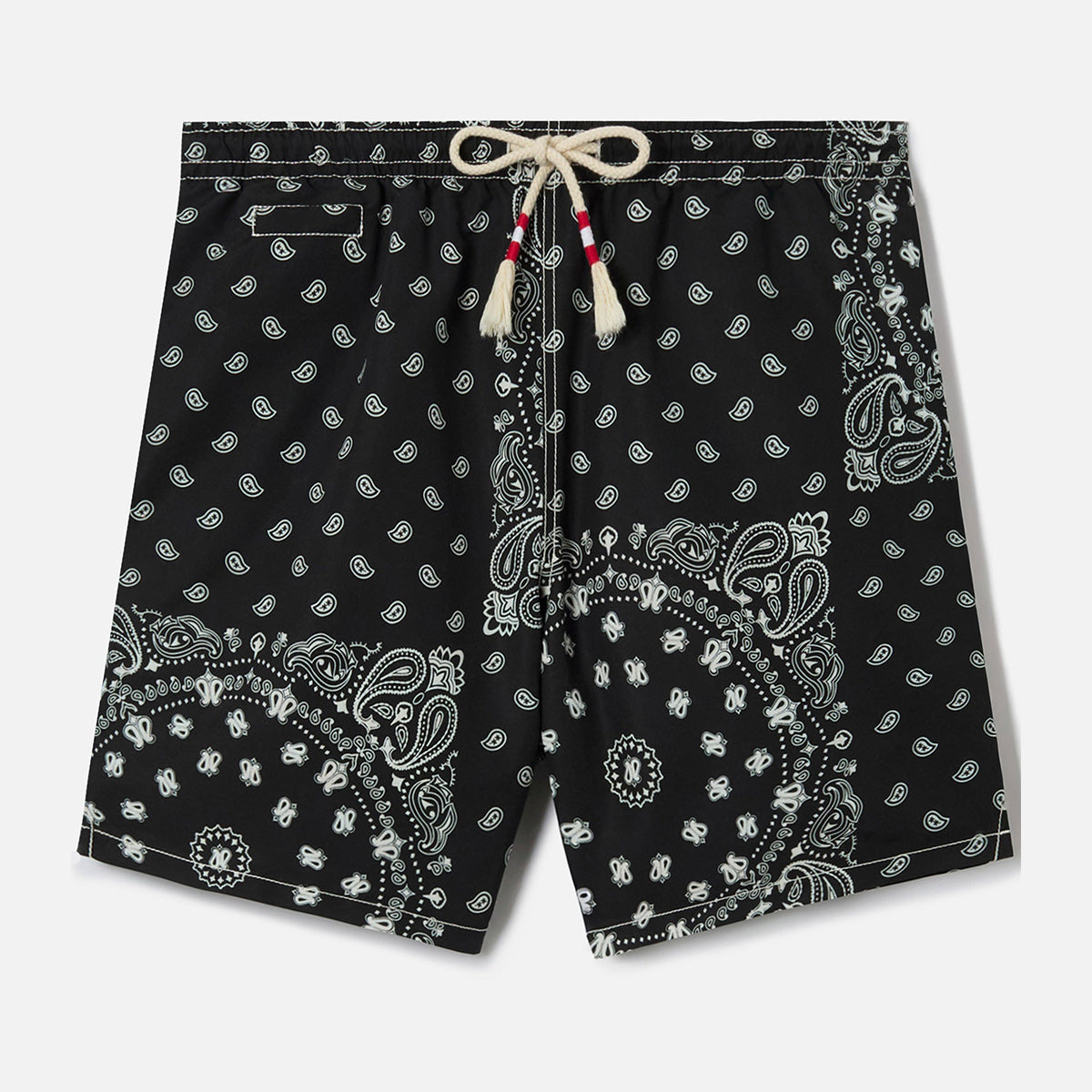 Boxer mare fantasia bandana