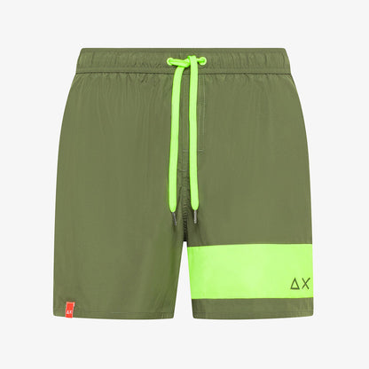 Boxer mare bicolore