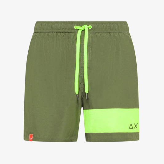 Boxer mare bicolore