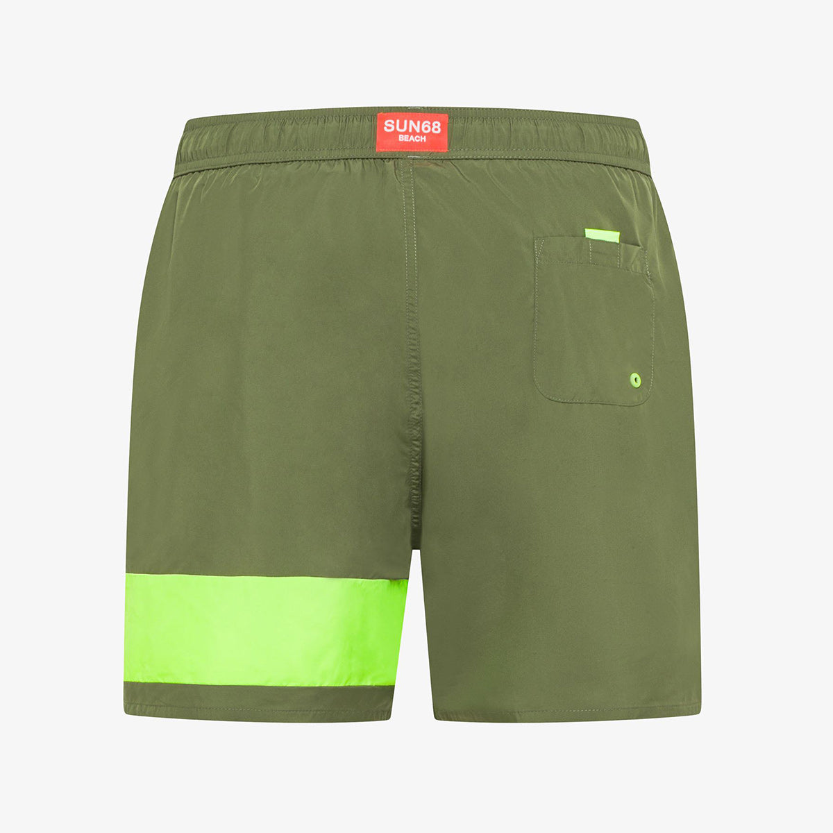 Boxer mare bicolore