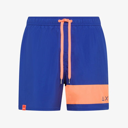 Boxer mare bicolore