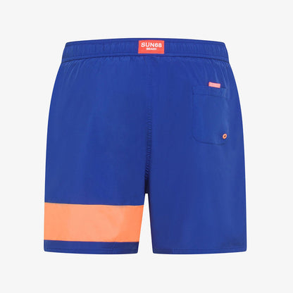Boxer mare bicolore