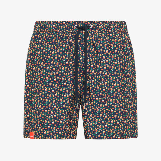 Boxer mare bicolore