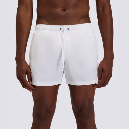 Boxer mare bianco con banda