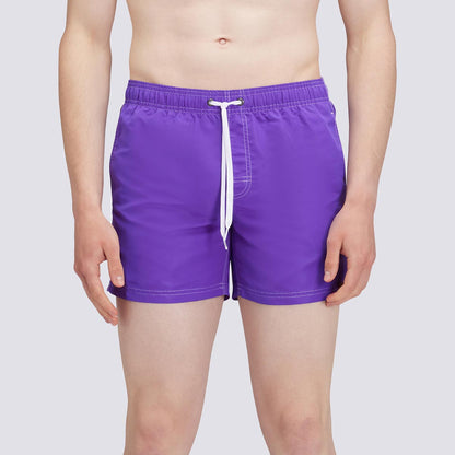 Boxer mare viola con banda