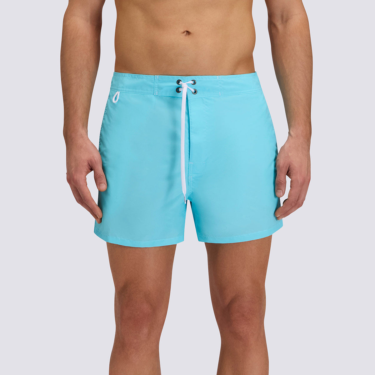 Boxer mare azzurro con banda
